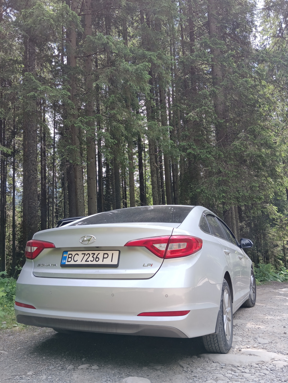 Вигуляв Сонатку в Карпатах 🏞️ 4