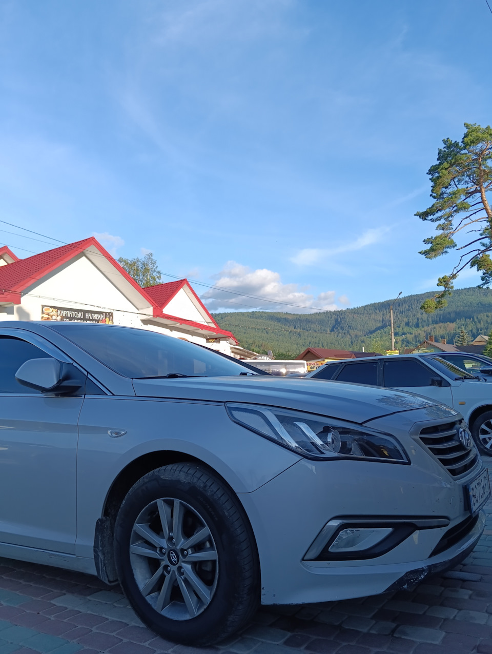 Вигуляв Сонатку в Карпатах 🏞️ 3