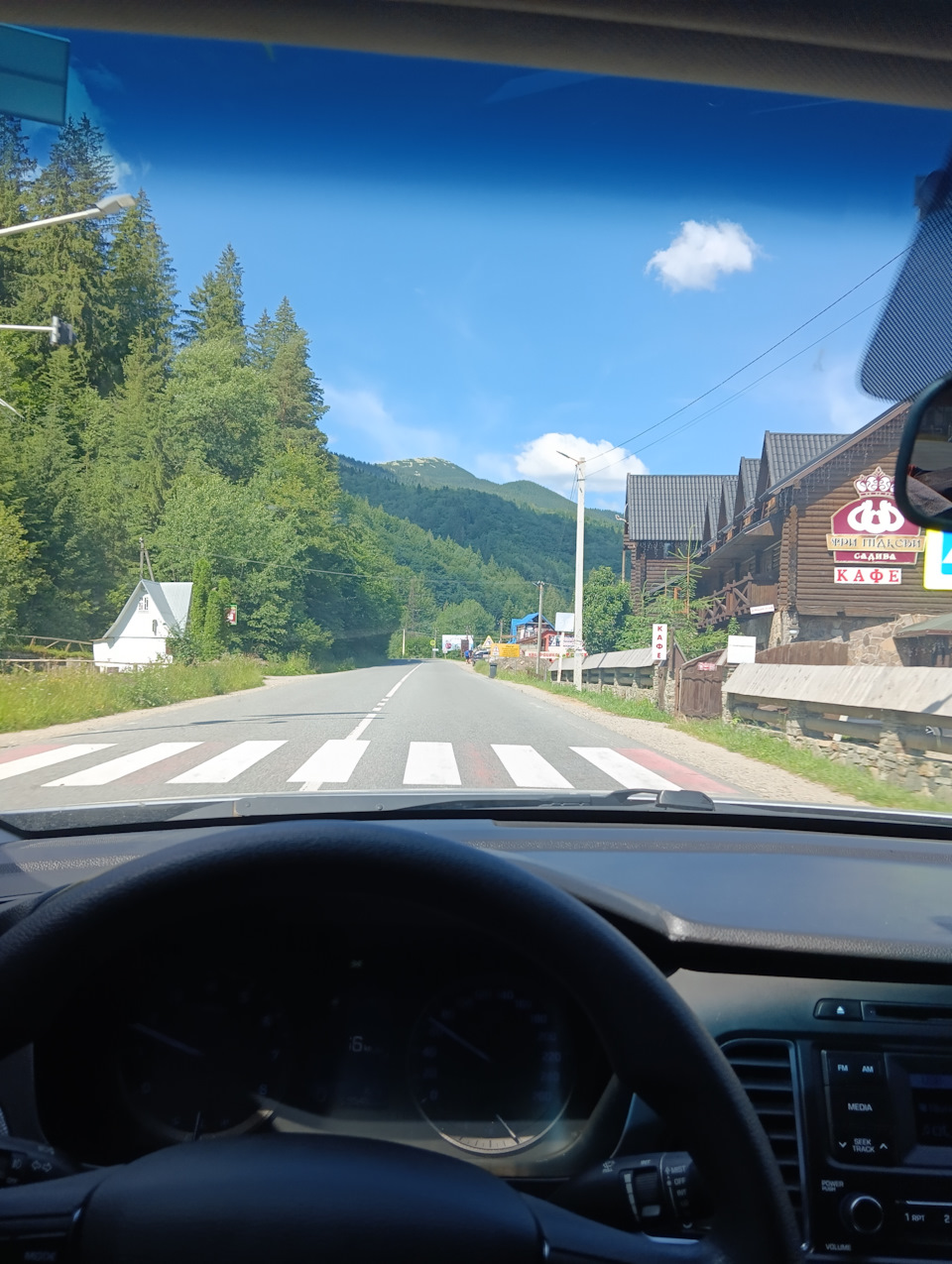 Вигуляв Сонатку в Карпатах 🏞️ 5