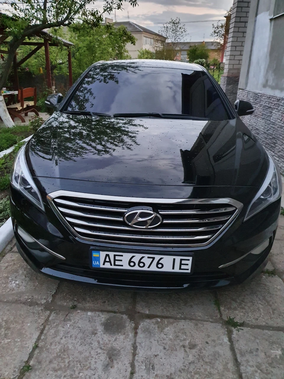 Трохи домашніх фото