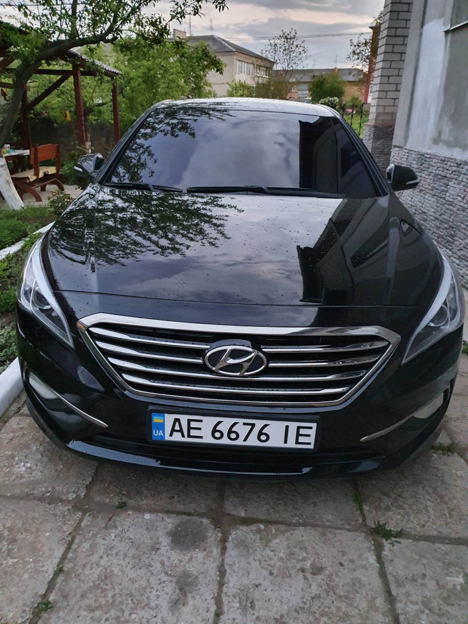 Трохи домашніх фото 1