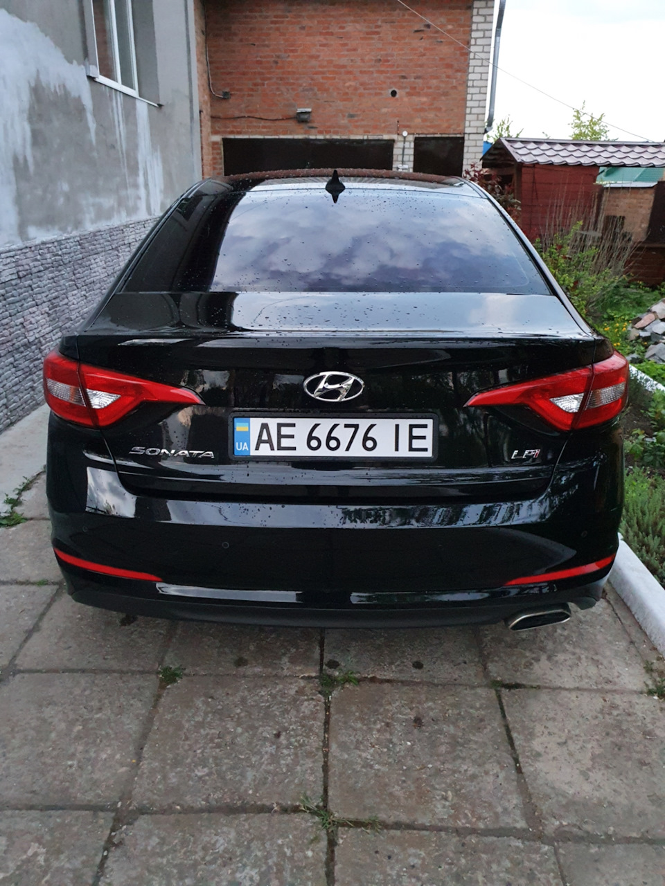 Трохи домашніх фото 2