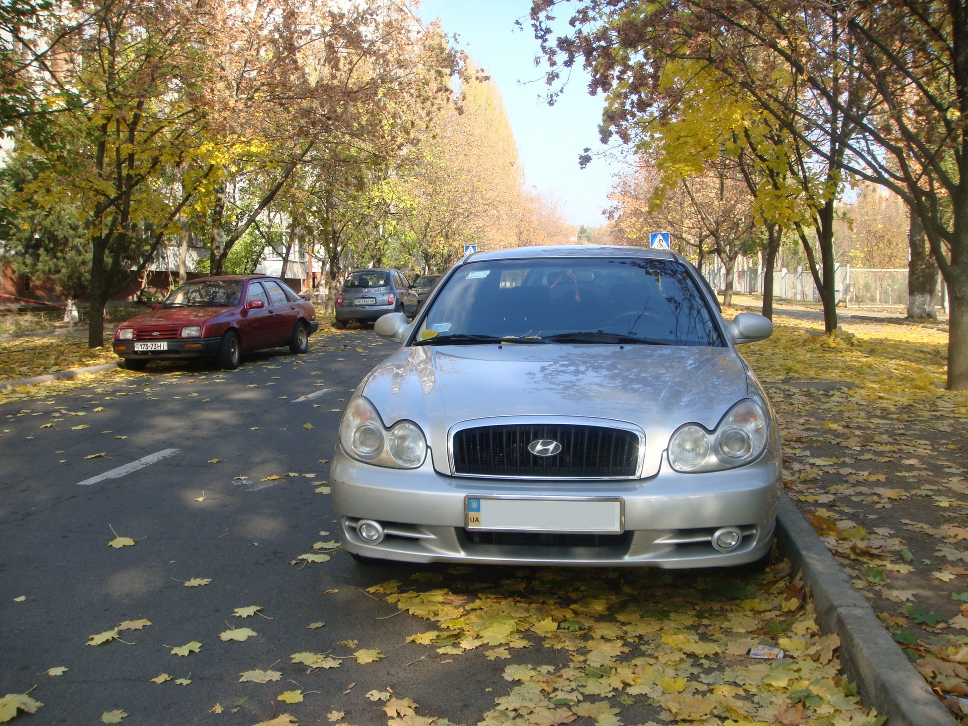 ФотоОсінь 1