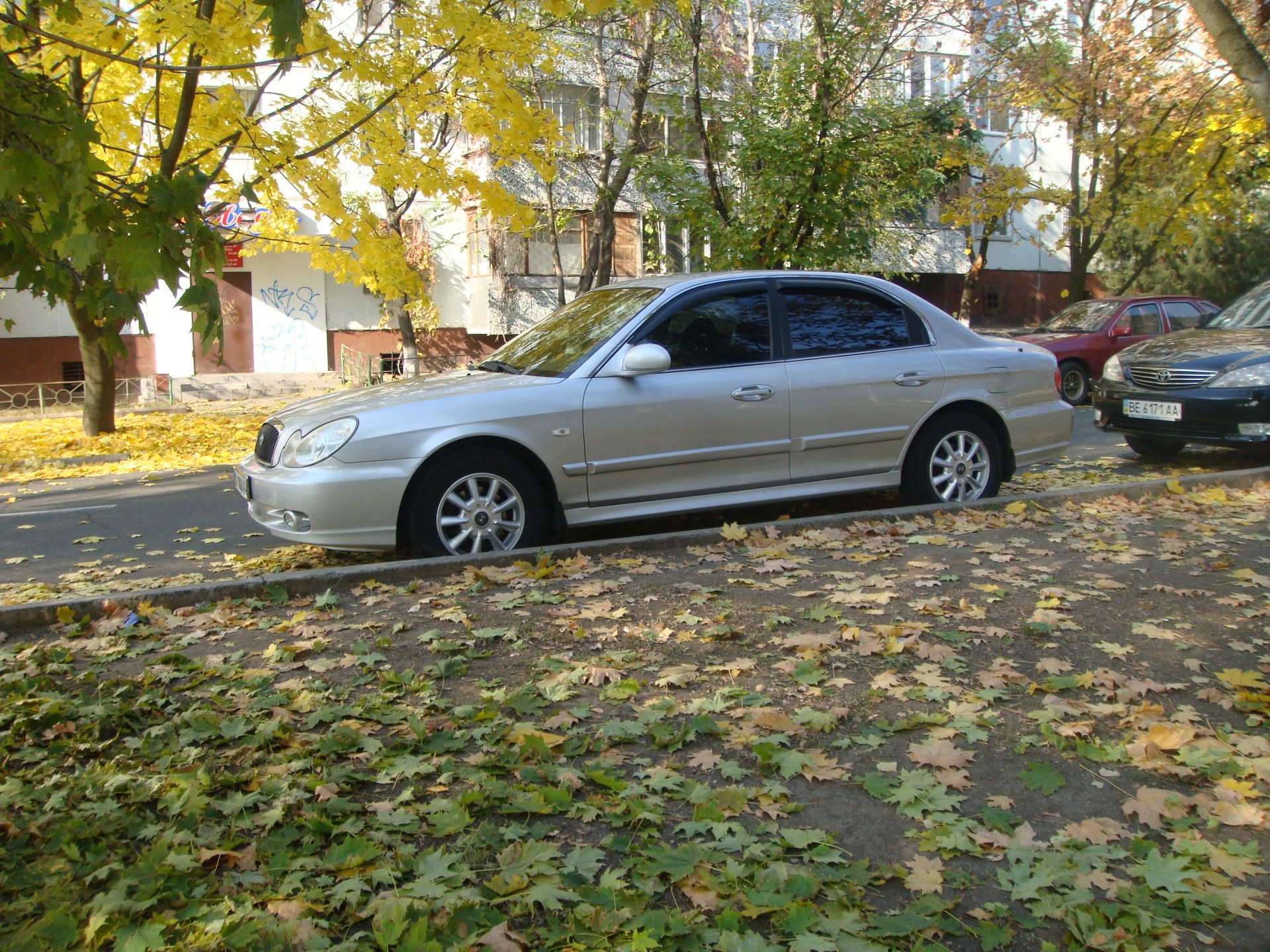 ФотоОсінь 4