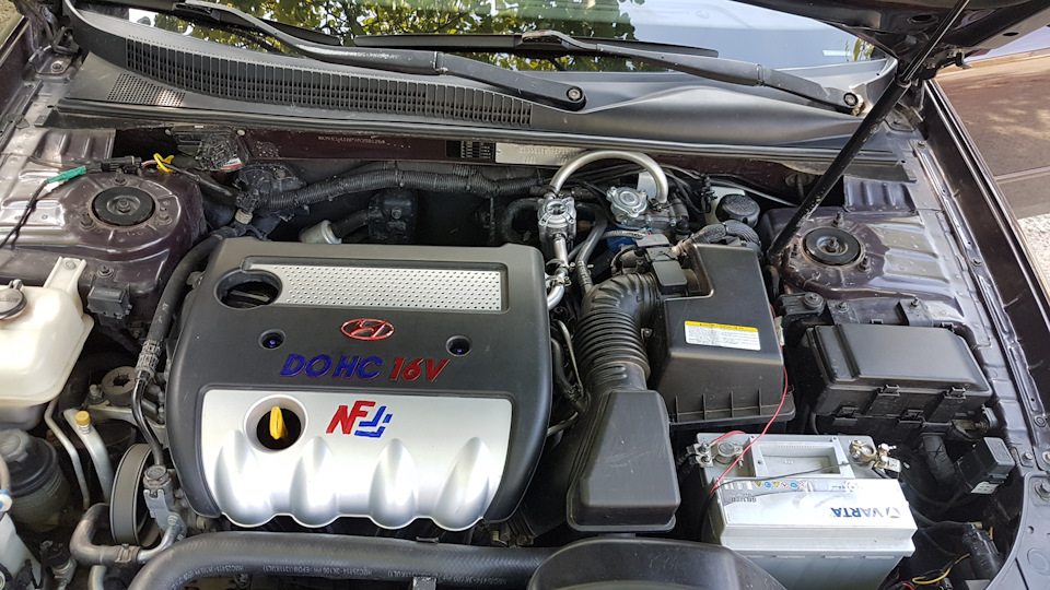 Повне ГБО-4 (LPG) stag q-box basic sonata nf 1