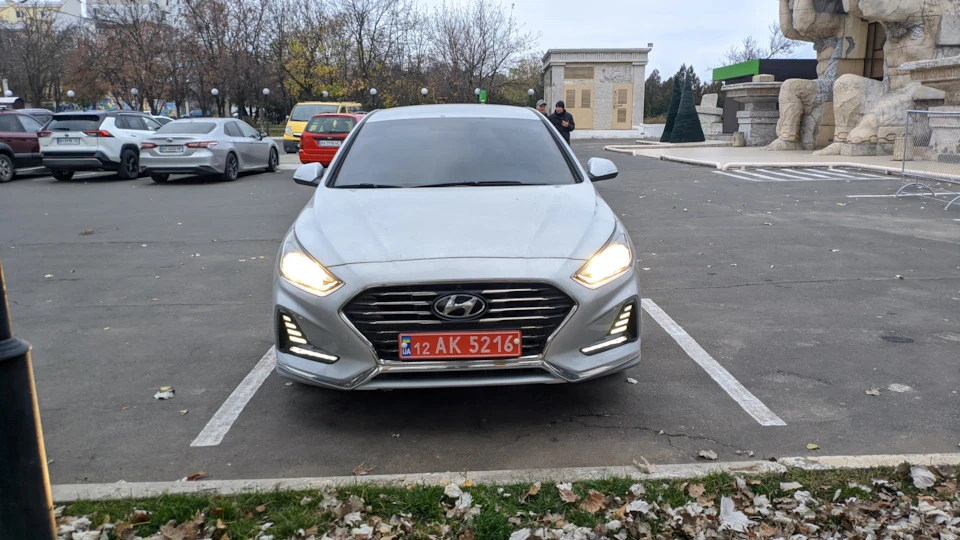 4️⃣Забрав свою акулу! багато фоток і відразу дрібний одвірок!