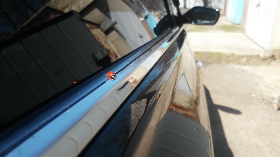 Поліроль SOFT 99 2