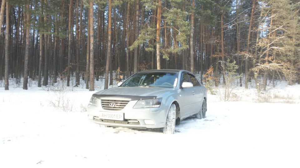 Зима 2021 шини Kapsen IceMax RW 501 5