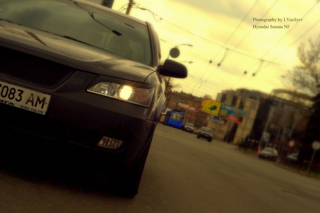 Весна 2011 1