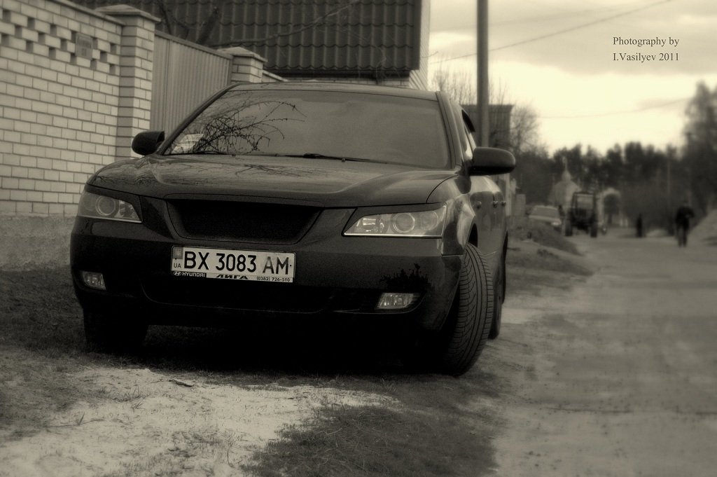 Весна 2011 3