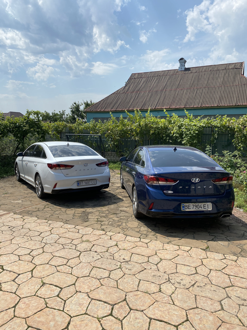 Продам у добрі руки 1