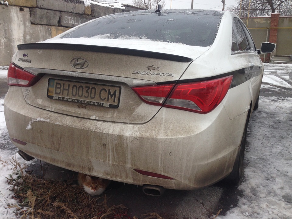 А хто тут найбрудніший?!) 5