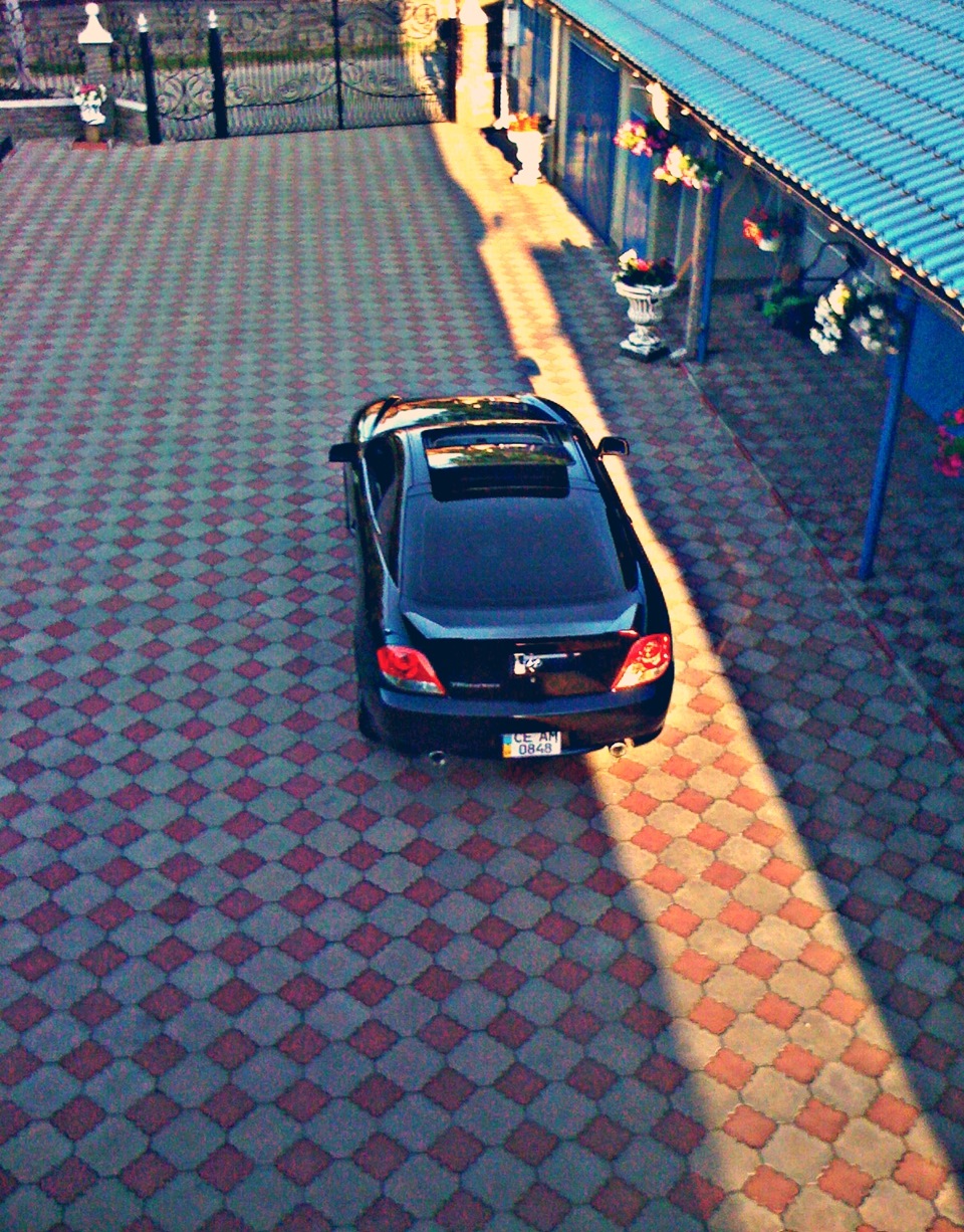 Tiburon 2