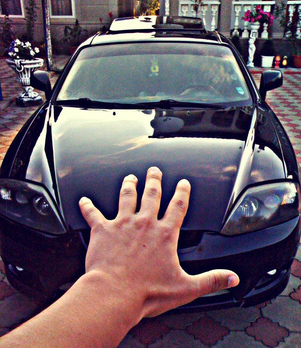 Tiburon 3