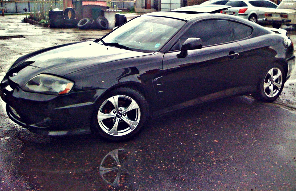Tiburon 3