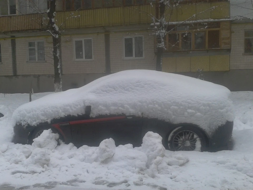 Перший сніг Полосатика