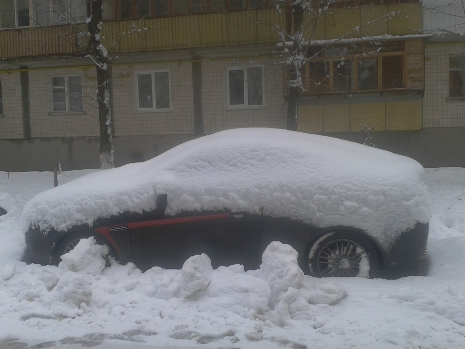 Перший сніг Полосатика 1