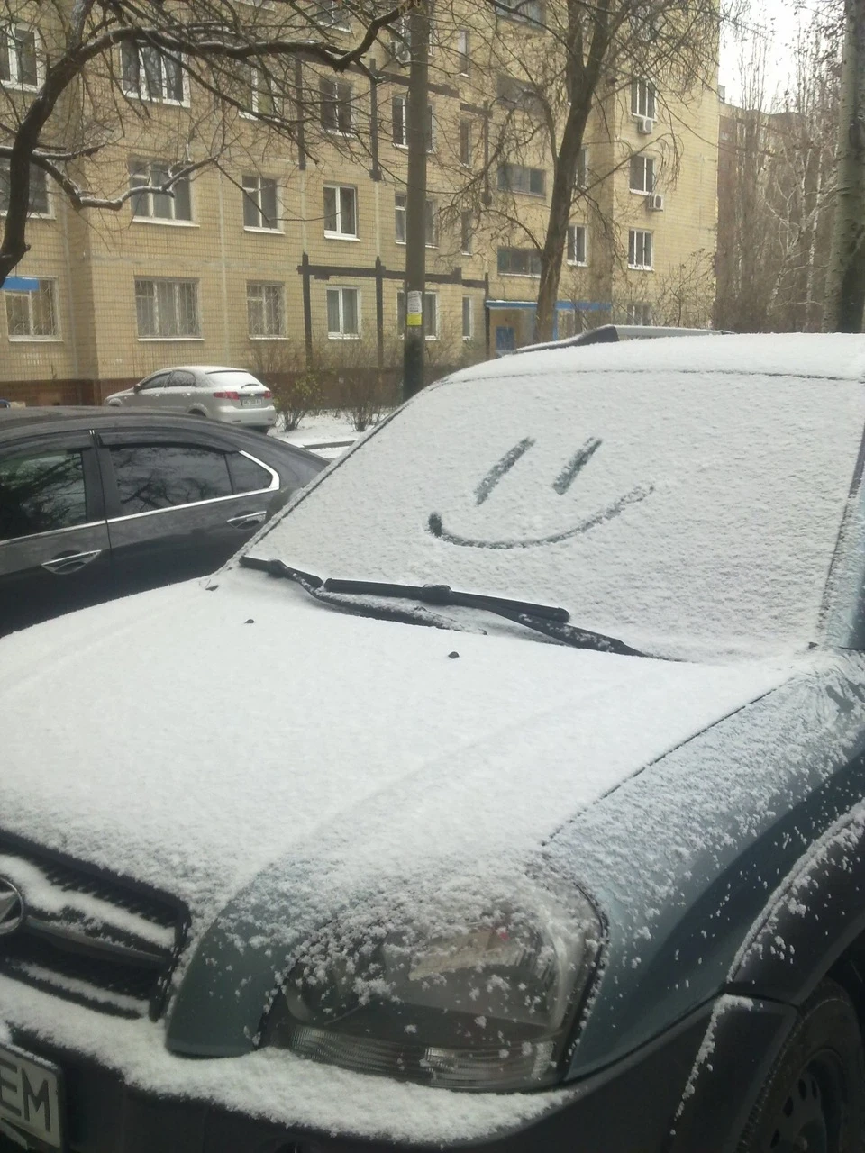 Перший сніг...