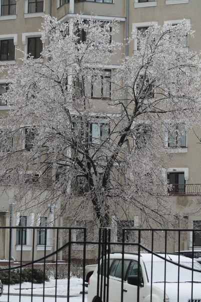 Сніг в Одесі. 1