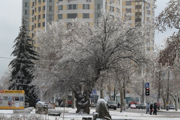 Сніг в Одесі. 2