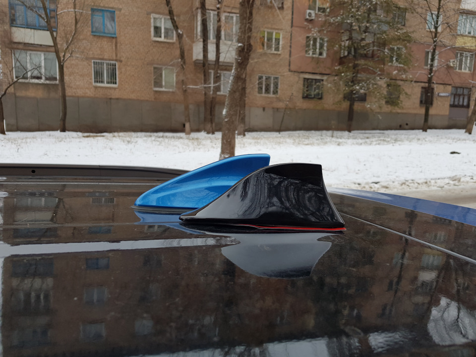 Бути чи не бути?! Чорний плавець з Алі… 2