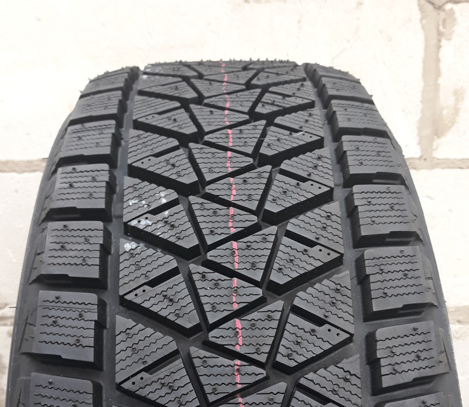 Bridgestone Blizzak DM-V2 5
