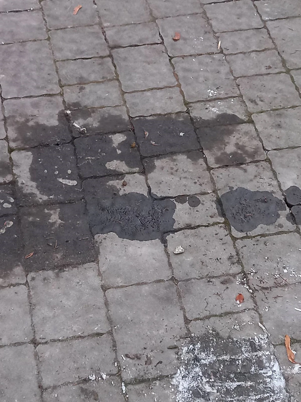 Недовго музика грала , самокретично і банально.