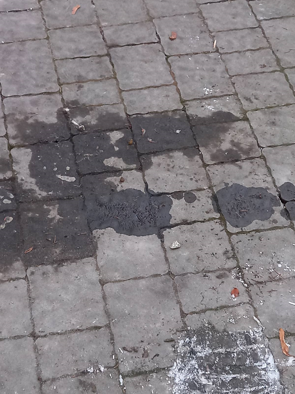 Недовго музика грала , самокретично і банально. 1