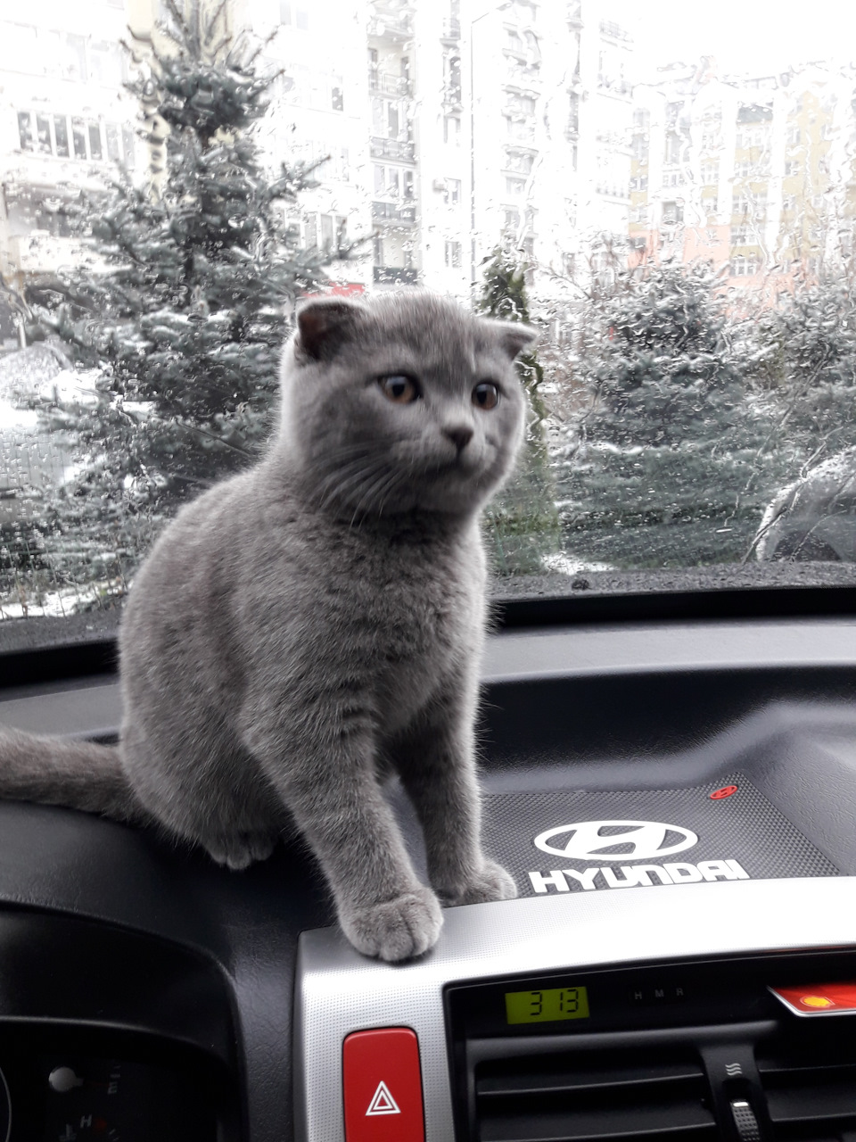 Заміна зовнішнього, правого ШРУСу 4