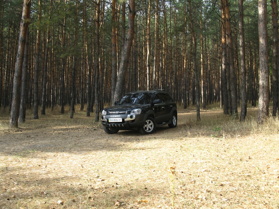 Парочку фоток 4