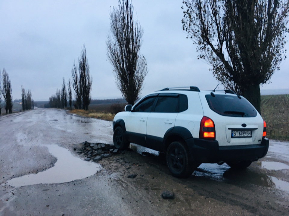 У своїй стихії 2
