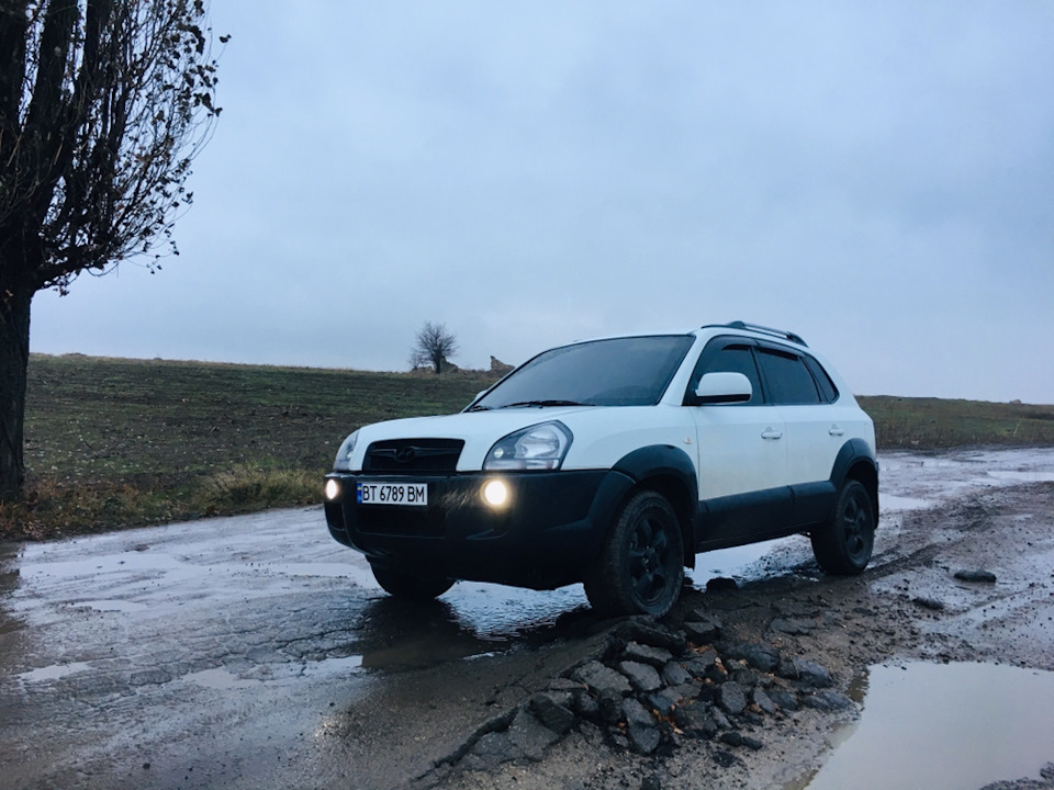 У своїй стихії 1