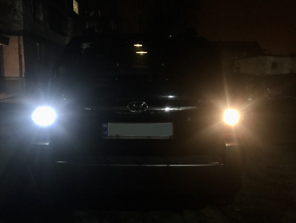 Led мені в зад 2