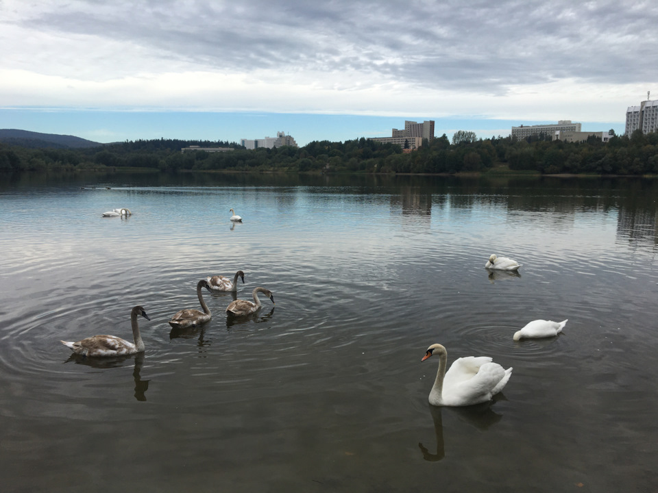 Прискорений курс молодого водія 2