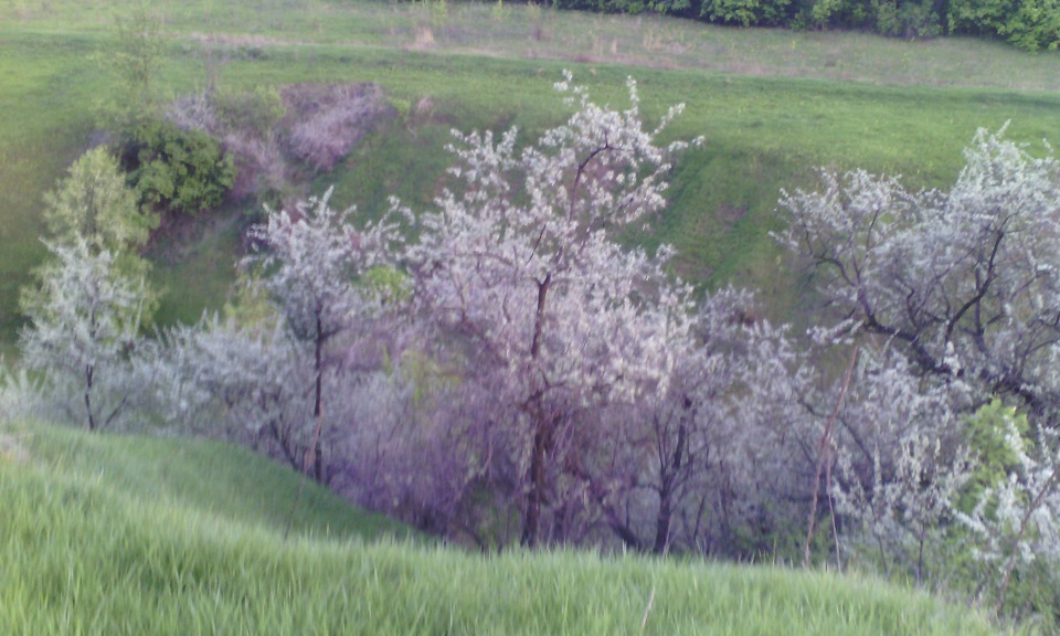 З запізненням) 4
