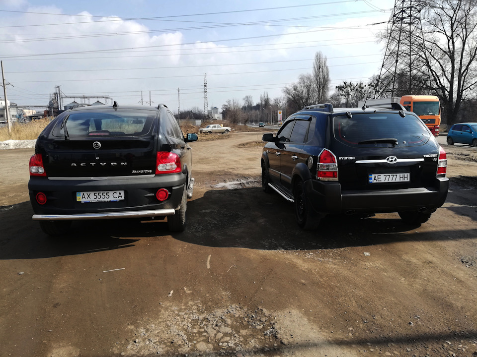 Новий член сім'ї 5