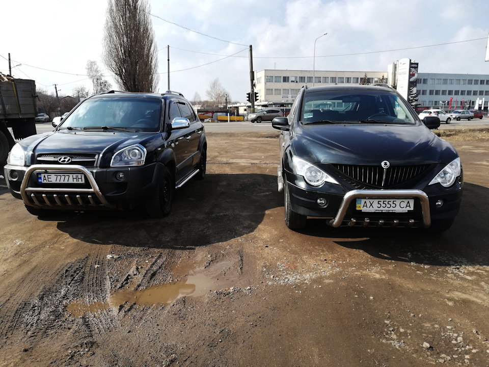 Новий член сім'ї 2