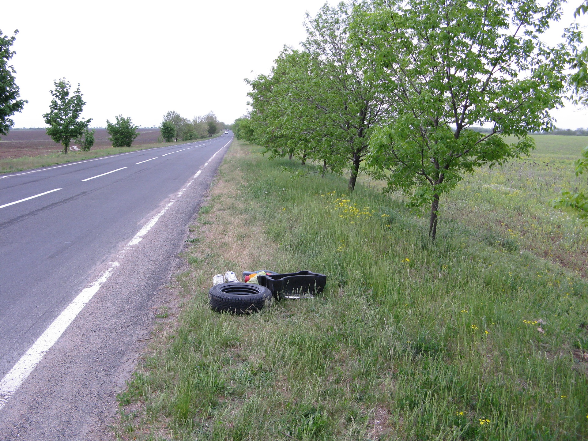 Вимір динаміки до чіп тюнінгу 1