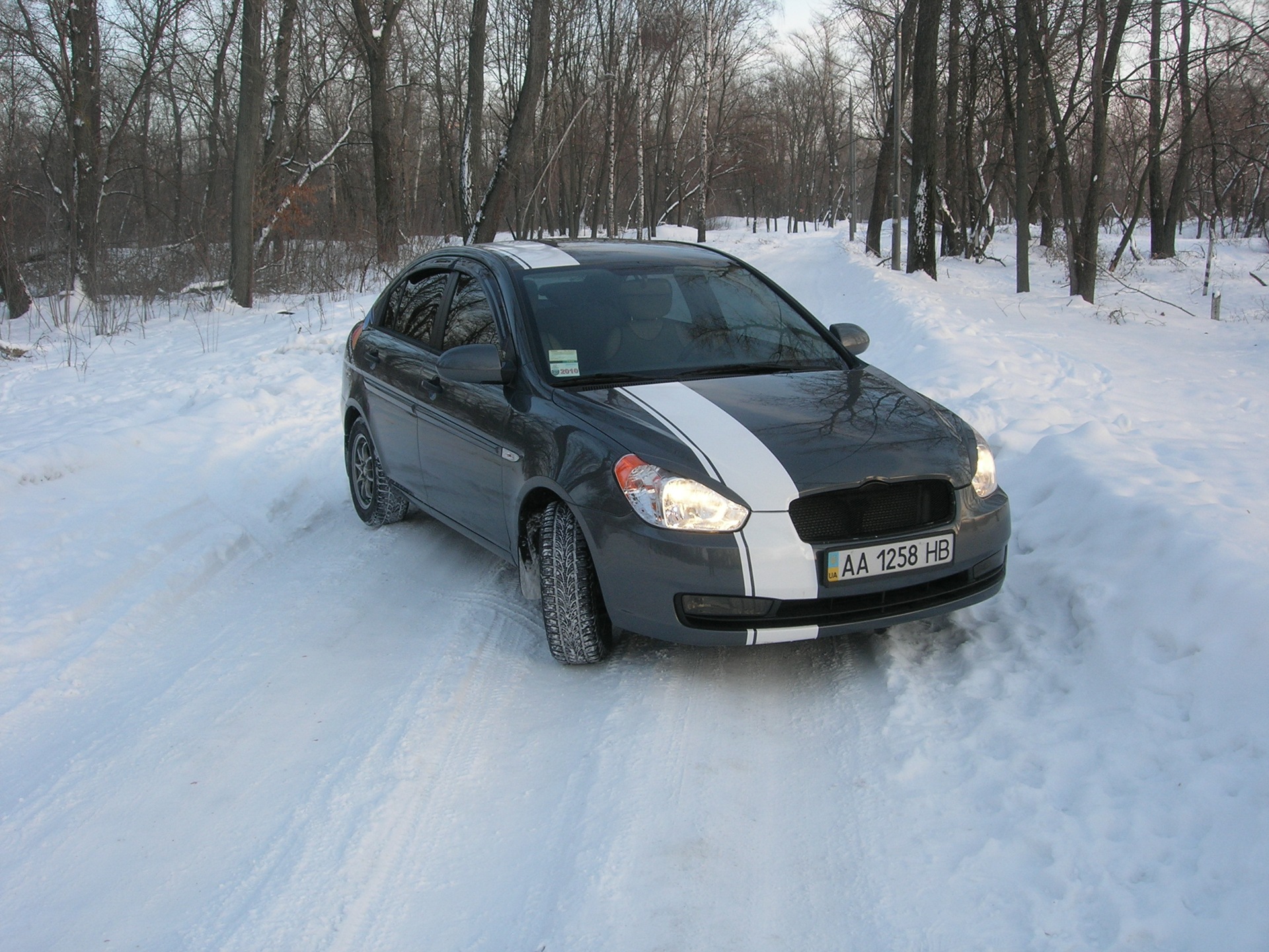 Фото на снігу 1