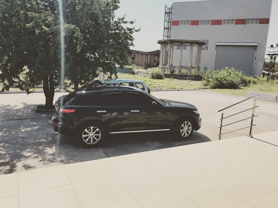 Фінік радує нового господаря...