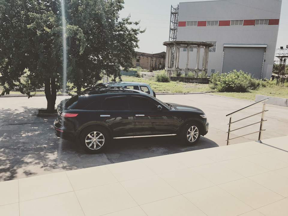 Фінік радує нового господаря... 1
