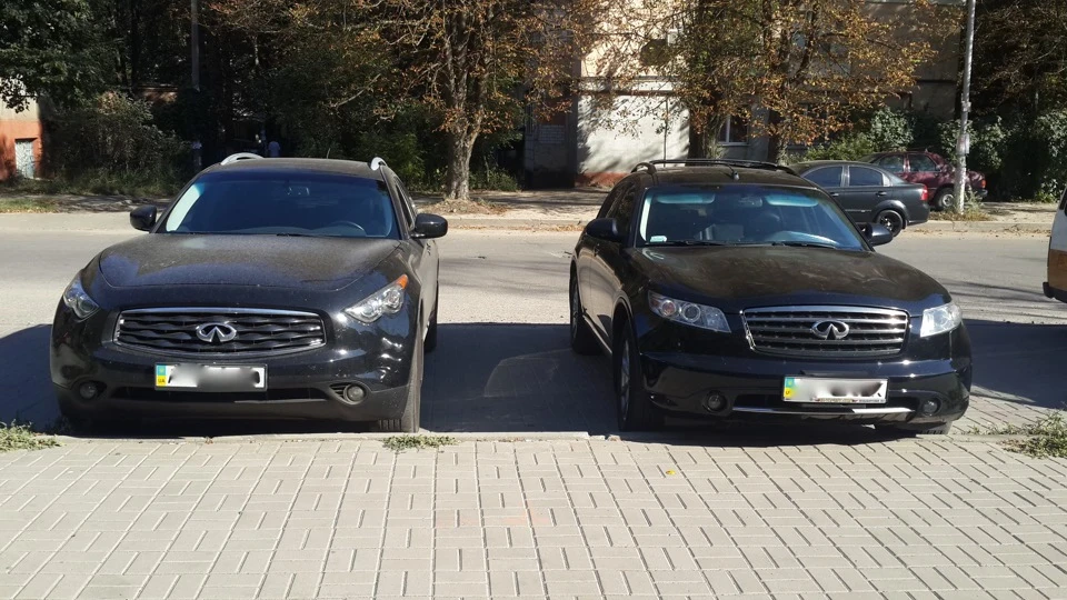 Фінік та фініки