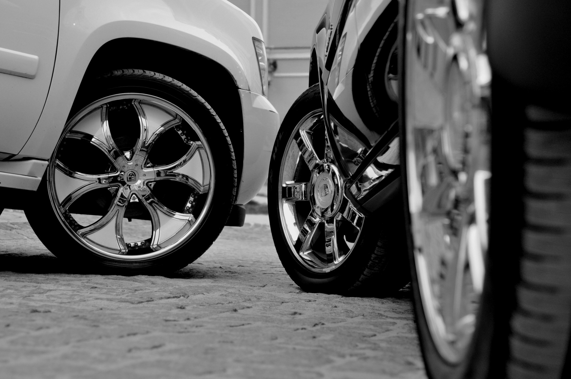 Фотосет Серед великих - Cadillac Escalade Слоник , Chevrolet Tahoe Сніжок 3
