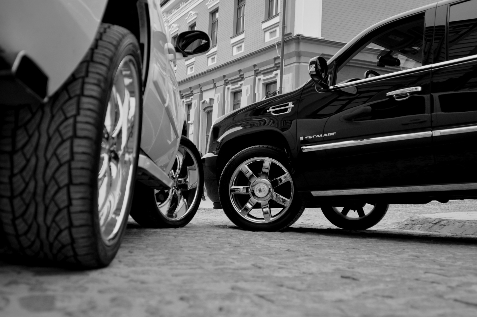 Фотосет Серед великих - Cadillac Escalade Слоник , Chevrolet Tahoe Сніжок 5