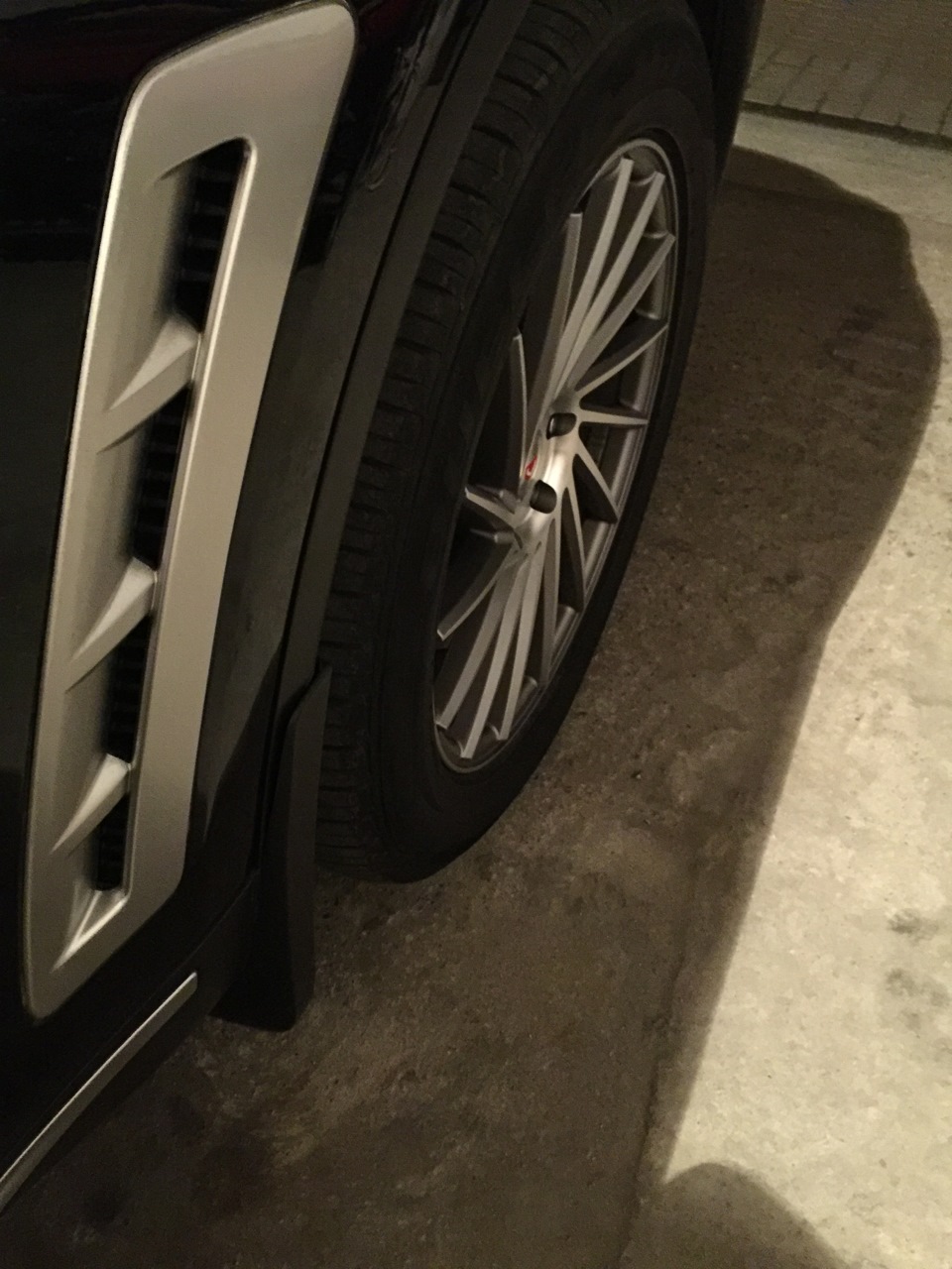 Vossen welcome:) 2