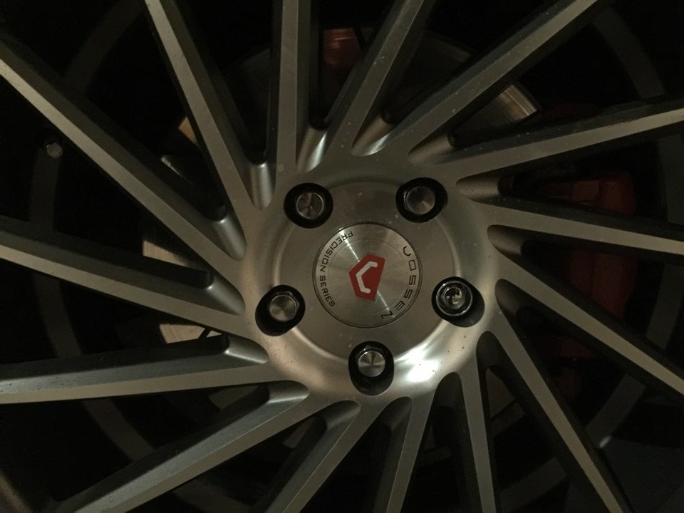 Vossen welcome:) 1