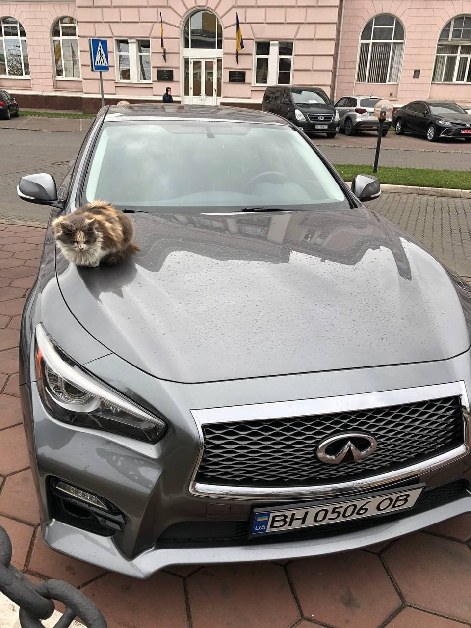 Коти помітили повітрозабірник, під лобовим склом... 1