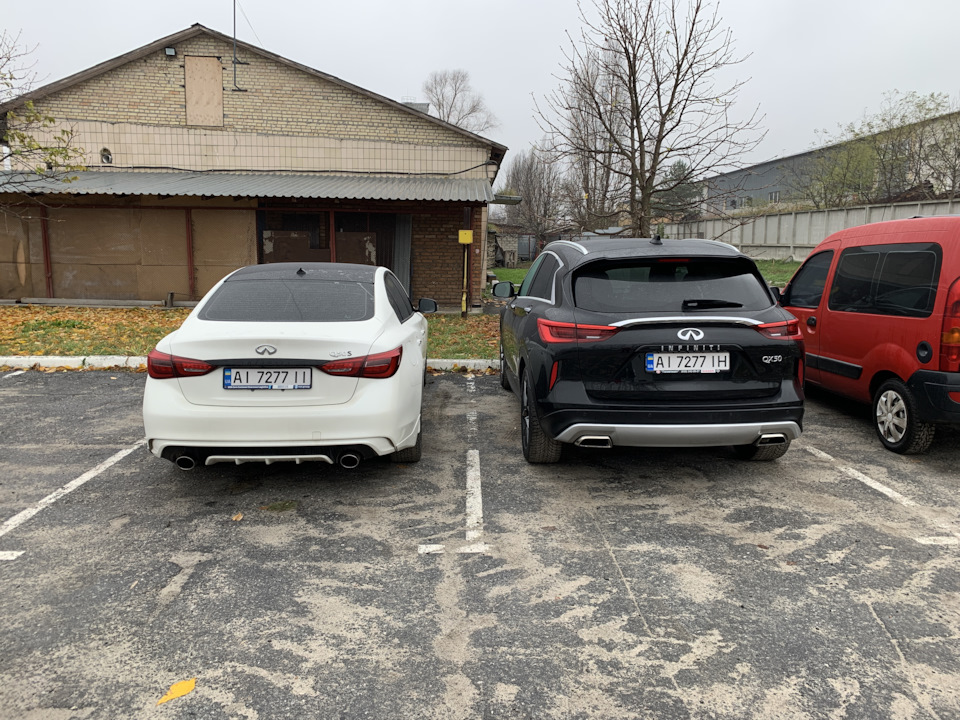 Новий фінік у сім'ї))) 2