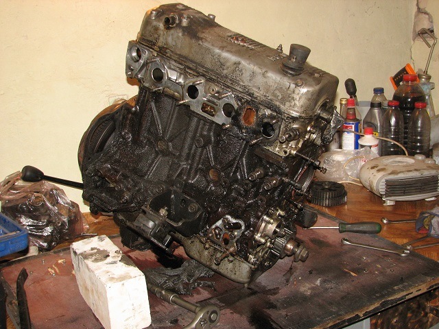 4zd1 у всій красі 1