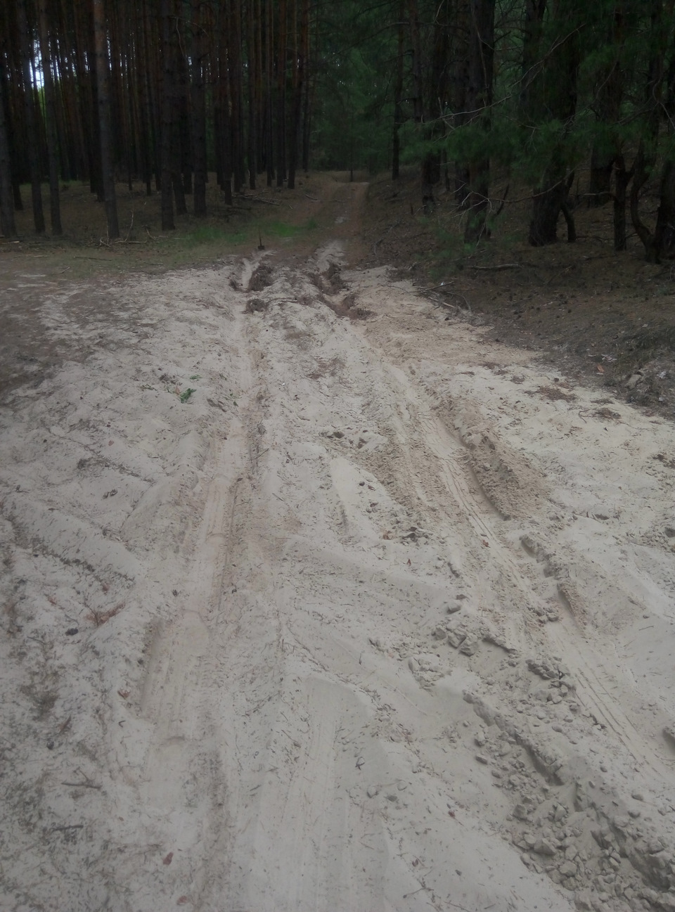 Припливли 3